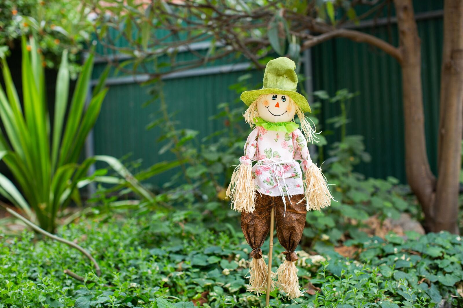 Oxford scarecrow